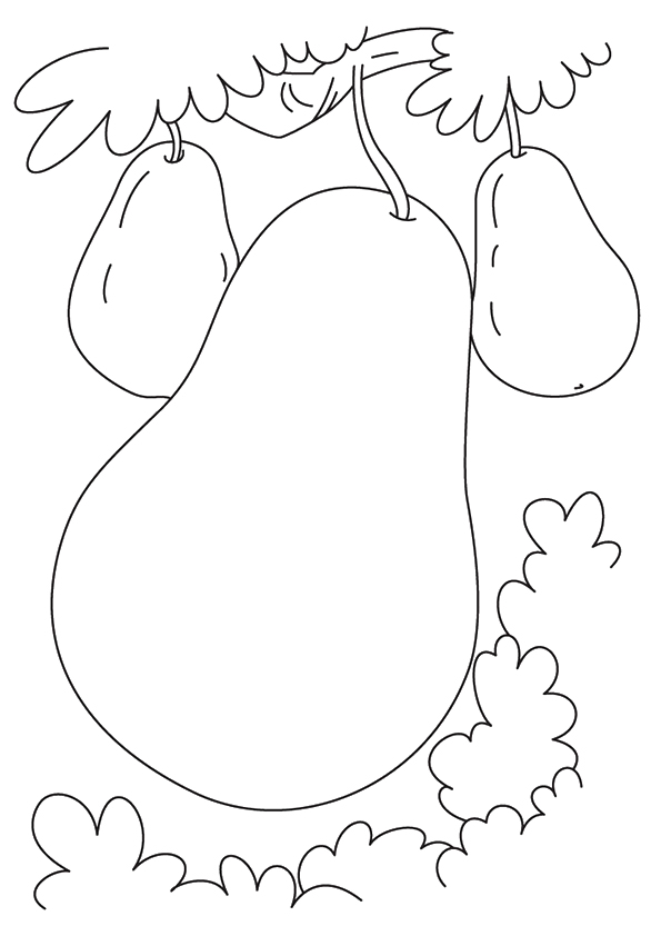 pear-coloring-page-0008-q2