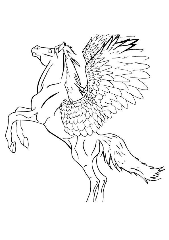 pegasus-coloring-page-0034-q2