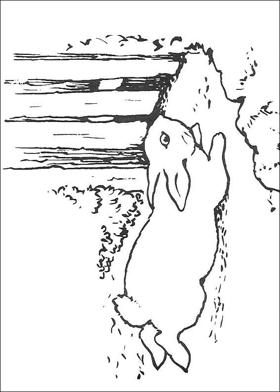 peter-rabbit-coloring-page-0028-q5