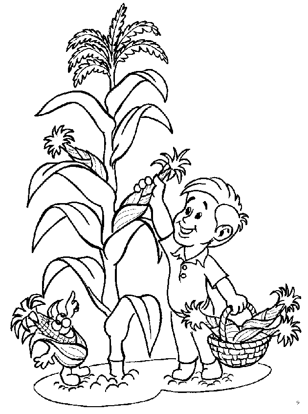 plant-coloring-page-0004-q1