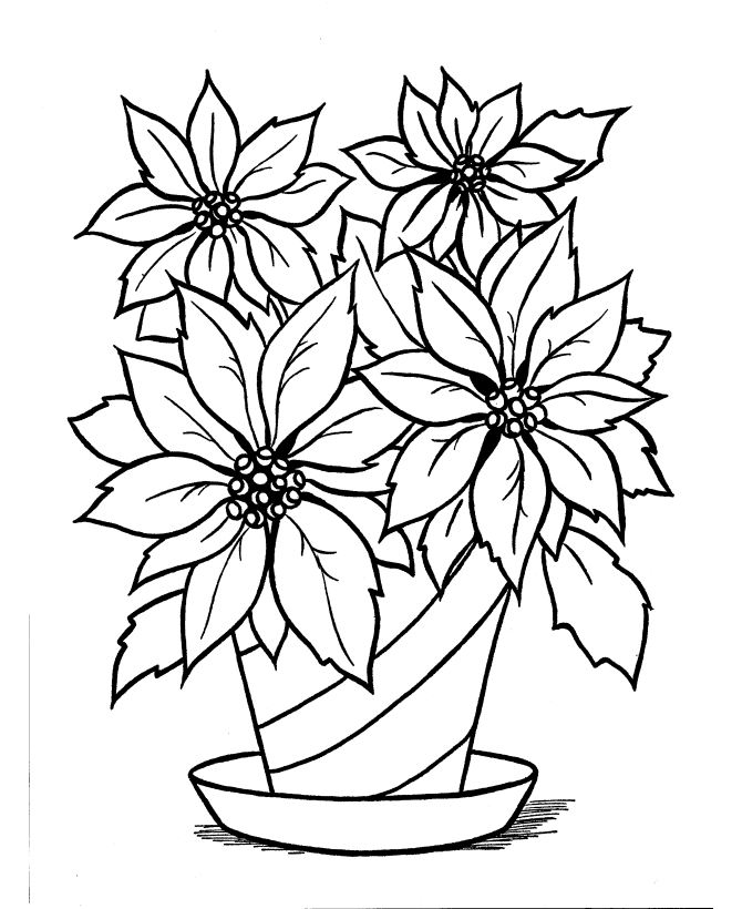 plant-coloring-page-0024-q1