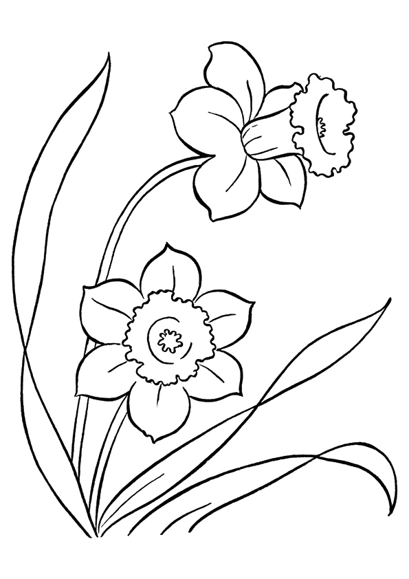 plant-coloring-page-0069-q2
