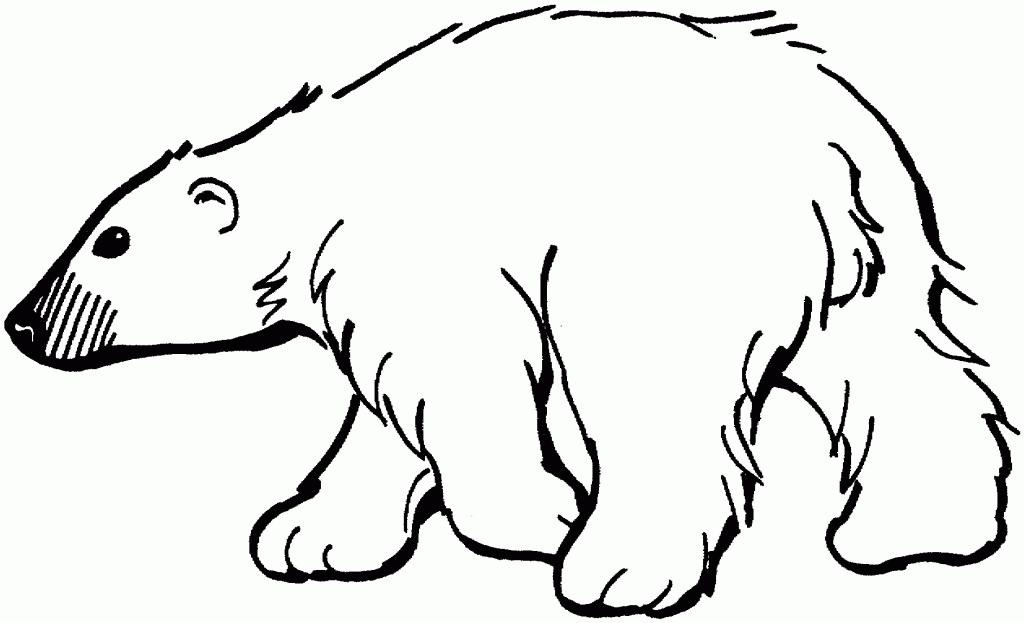 polar-bear-coloring-page-0020-q1
