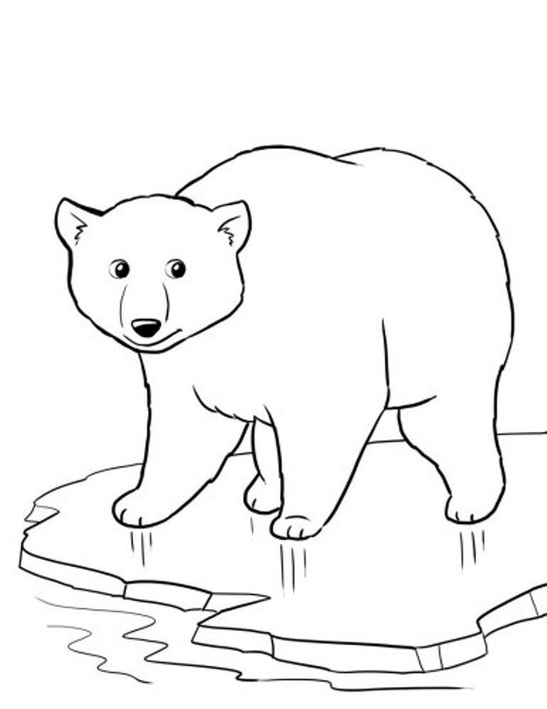 polar-bear-coloring-page-0025-q1