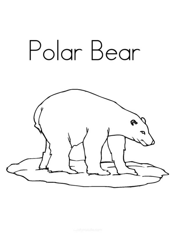 polar-bear-coloring-page-0032-q2