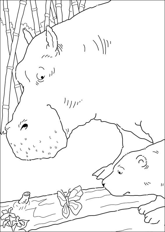 polar-bear-coloring-page-0041-q5