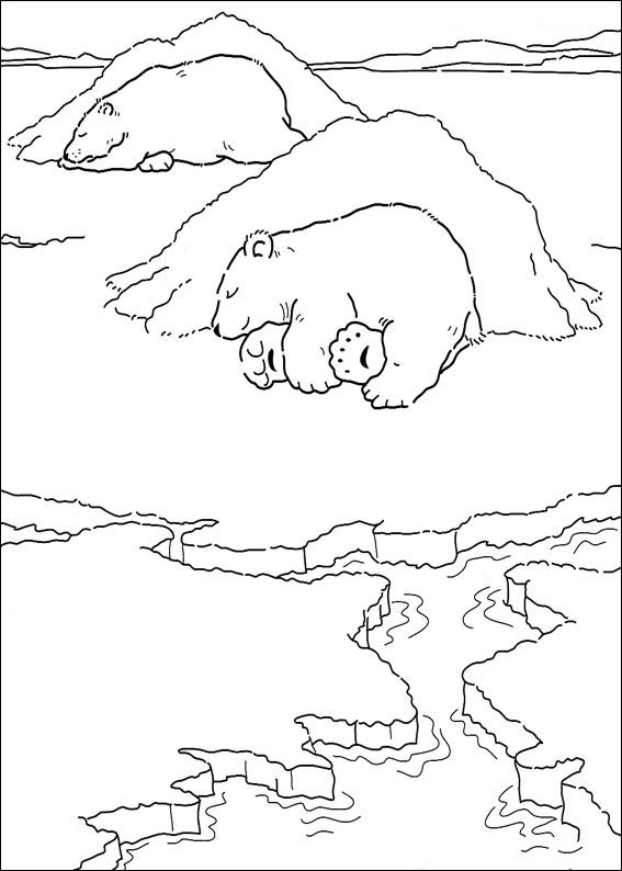 polar-bear-coloring-page-0043-q5