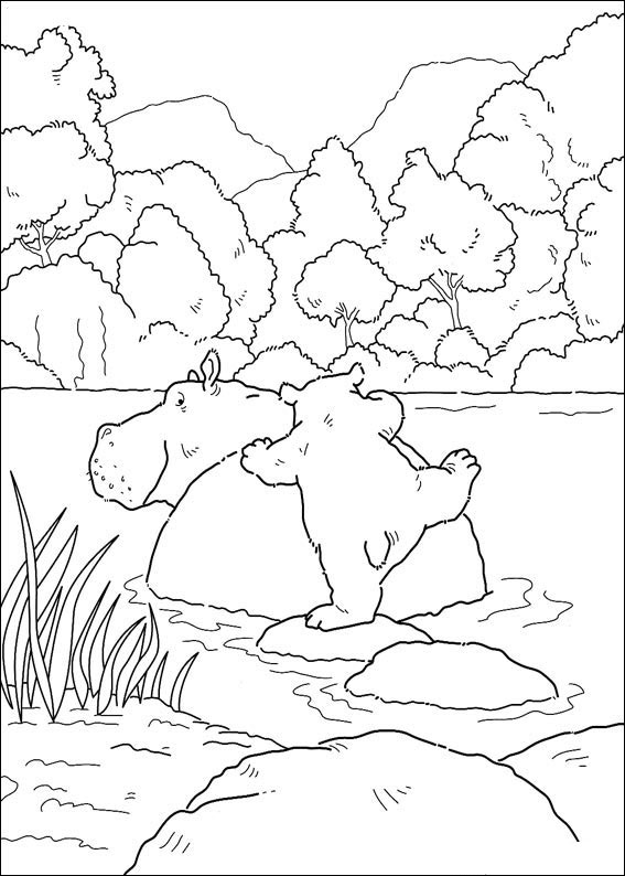 polar-bear-coloring-page-0078-q5