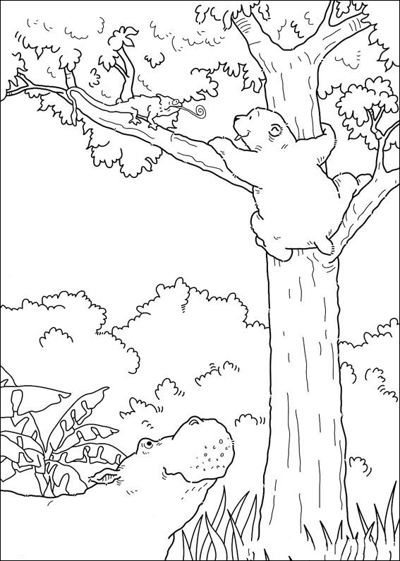 polar-bear-coloring-page-0082-q5