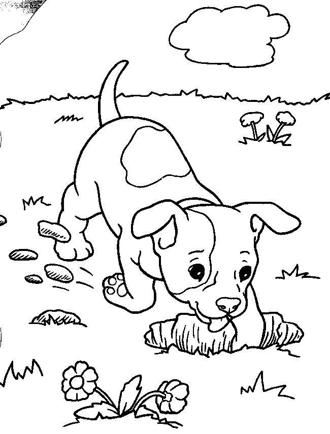 puppy-coloring-page-0001-q1