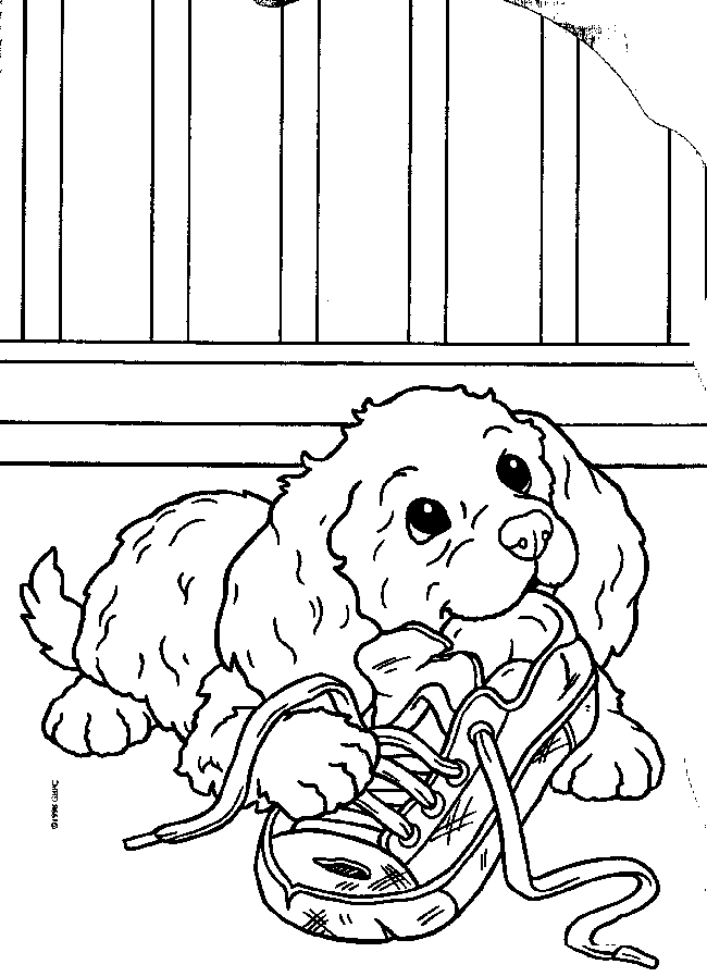 puppy-coloring-page-0006-q1