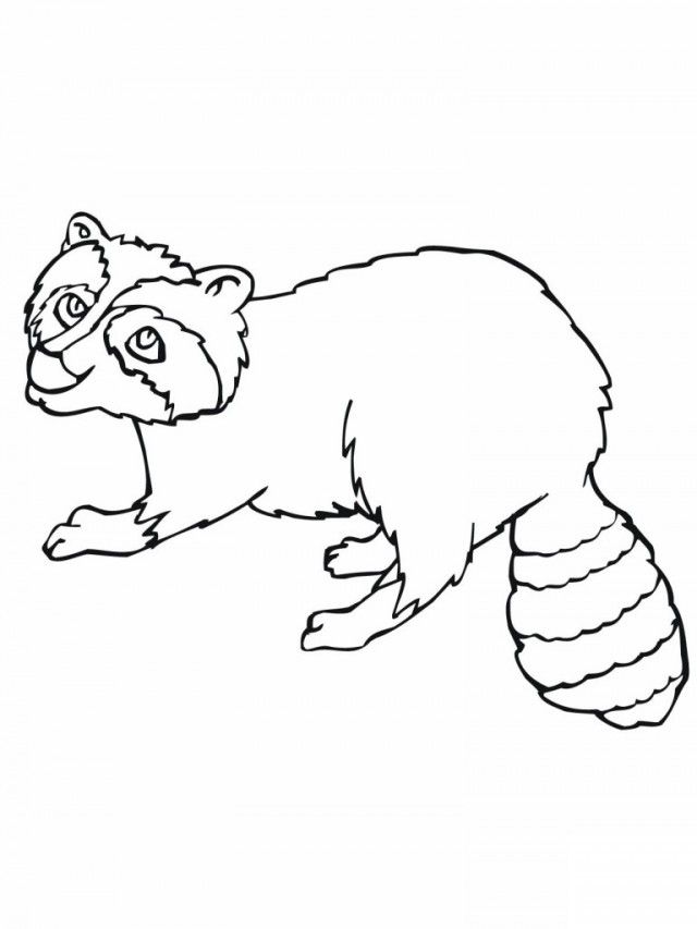 raccoon-coloring-page-0010-q1