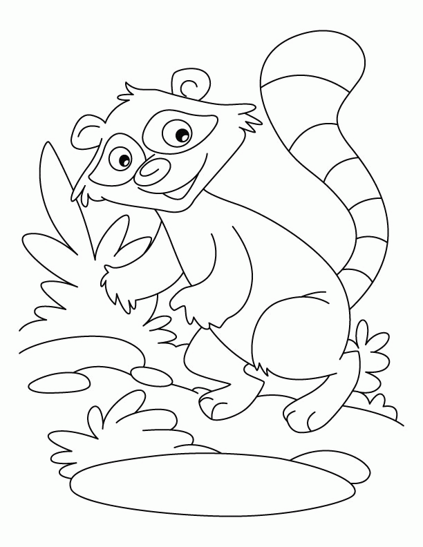 raccoon-coloring-page-0026-q1