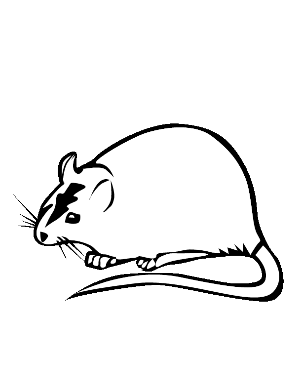 rat-coloring-page-0002-q1
