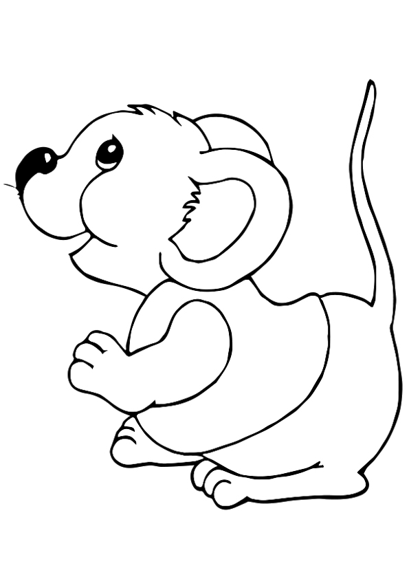 Rat: Coloring Pages & Books - 100% FREE and printable!