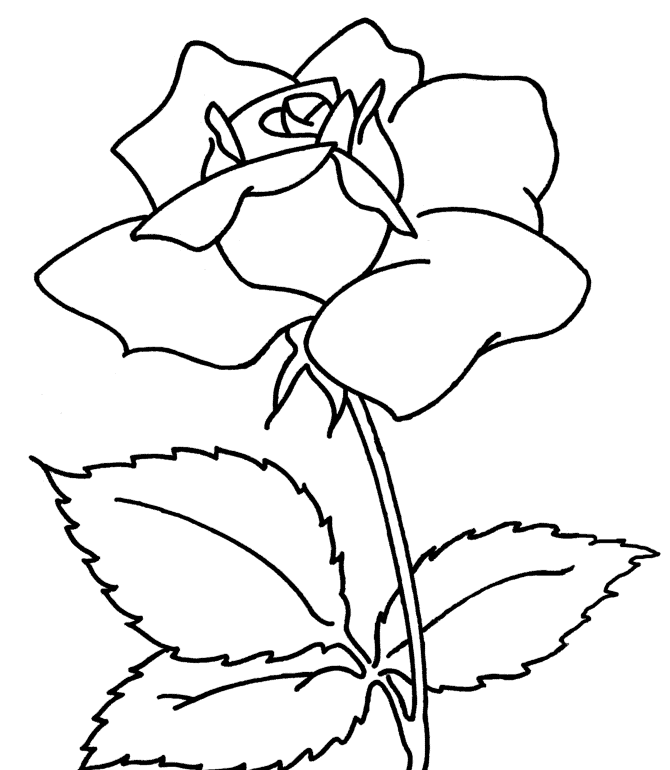 rose-coloring-page-0007-q1