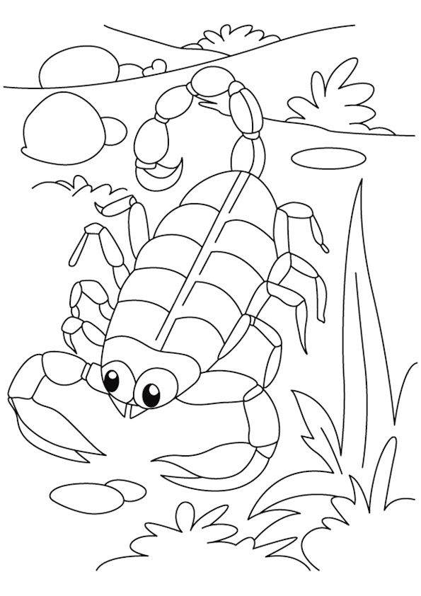 scorpion-coloring-page-0006-q2