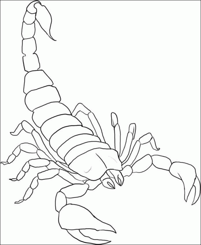 free printable scorpion coloring pages