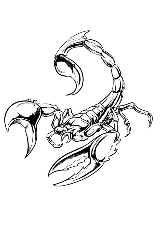 scorpion-coloring-page-0012-q1