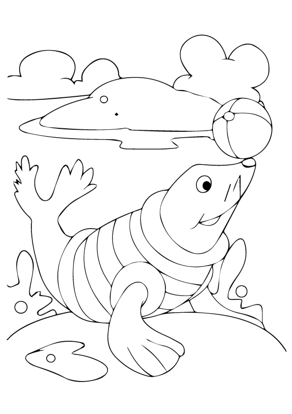 seal-coloring-page-0001-q2