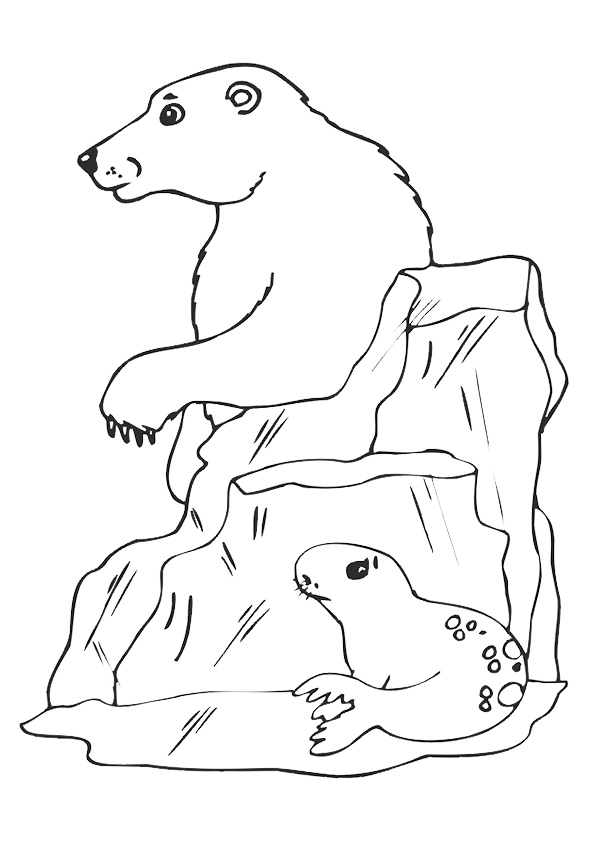 seal-coloring-page-0007-q2