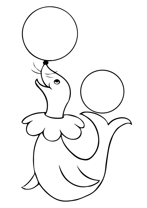 seal-coloring-page-0008-q2
