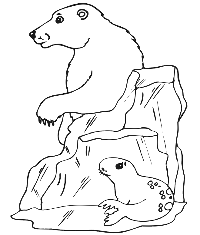 seal-coloring-page-0018-q1