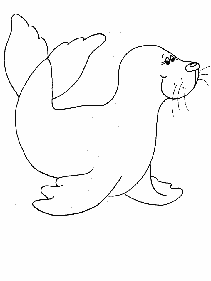 seal-coloring-page-0031-q1