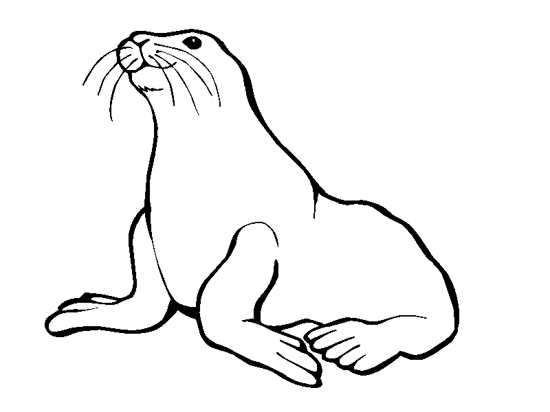 seal-coloring-page-0032-q1