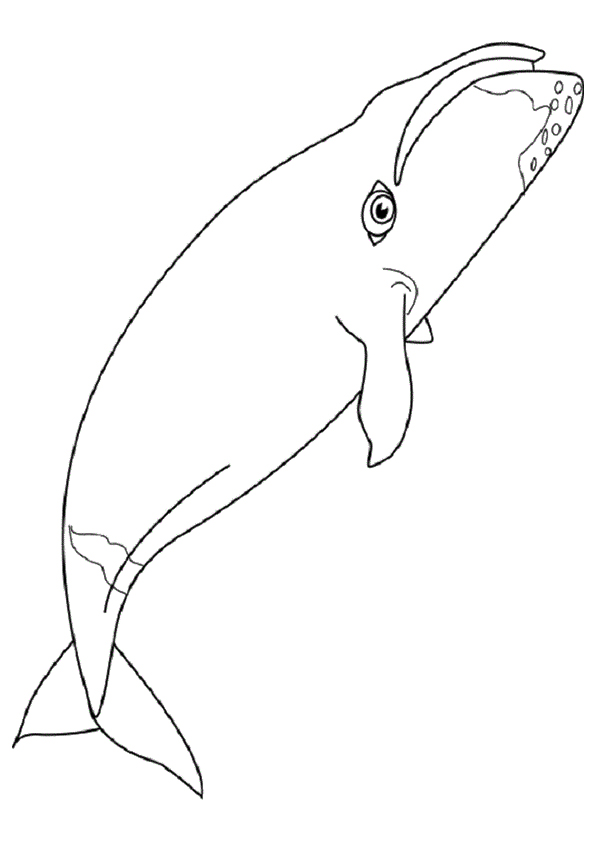 shark-coloring-page-0009-q2