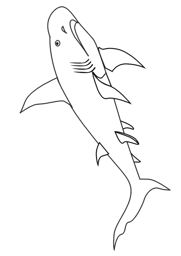 shark-coloring-page-0034-q2