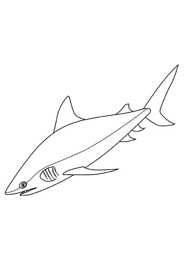 shark-coloring-page-0039-q2