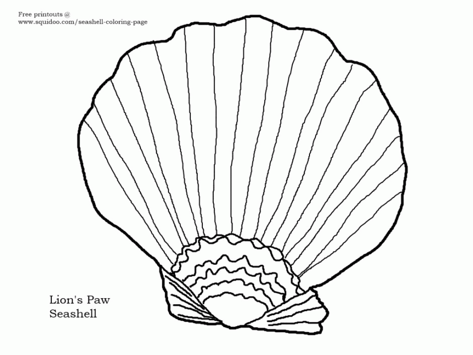 shell-coloring-page-0012-q1