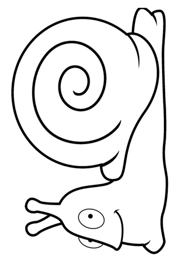 shell-coloring-page-0026-q2