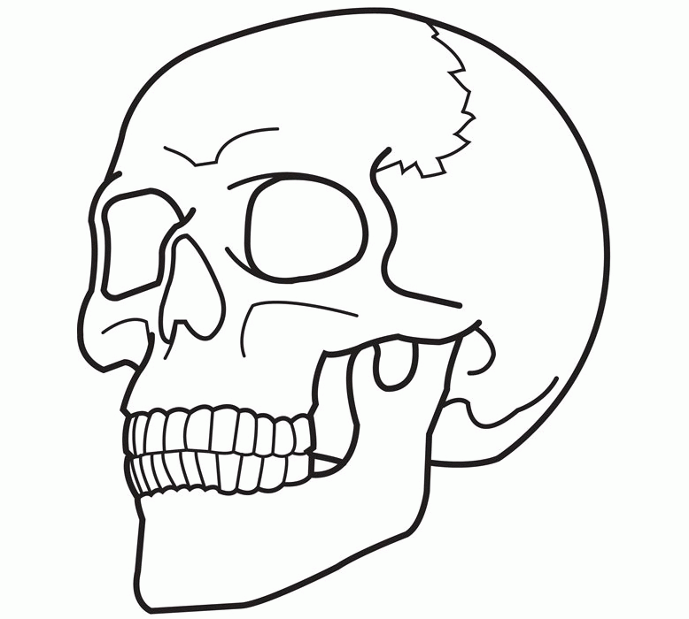 skull-coloring-page-0010-q1