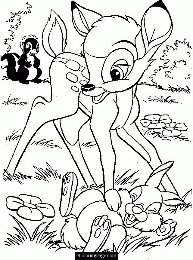 skunk-coloring-page-0001-q1