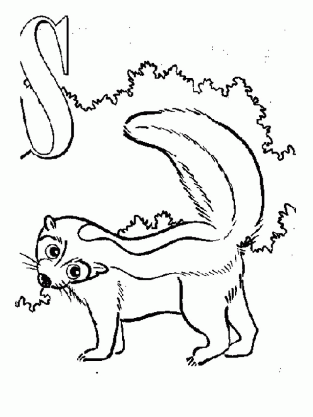 skunk-coloring-page-0008-q1