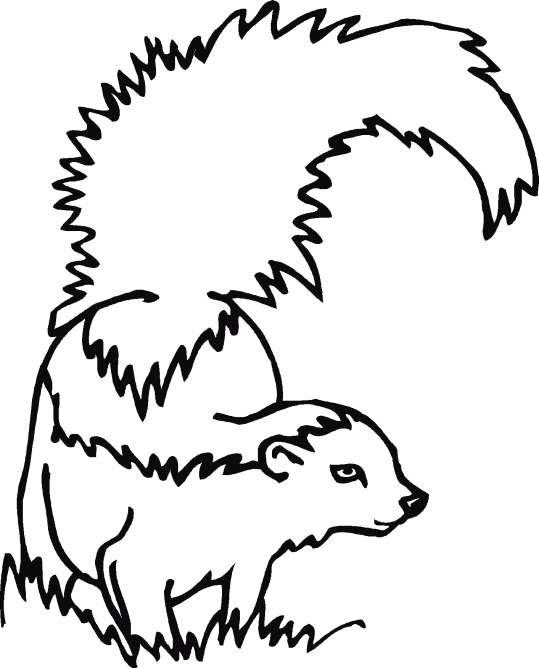 skunk-coloring-page-0012-q3