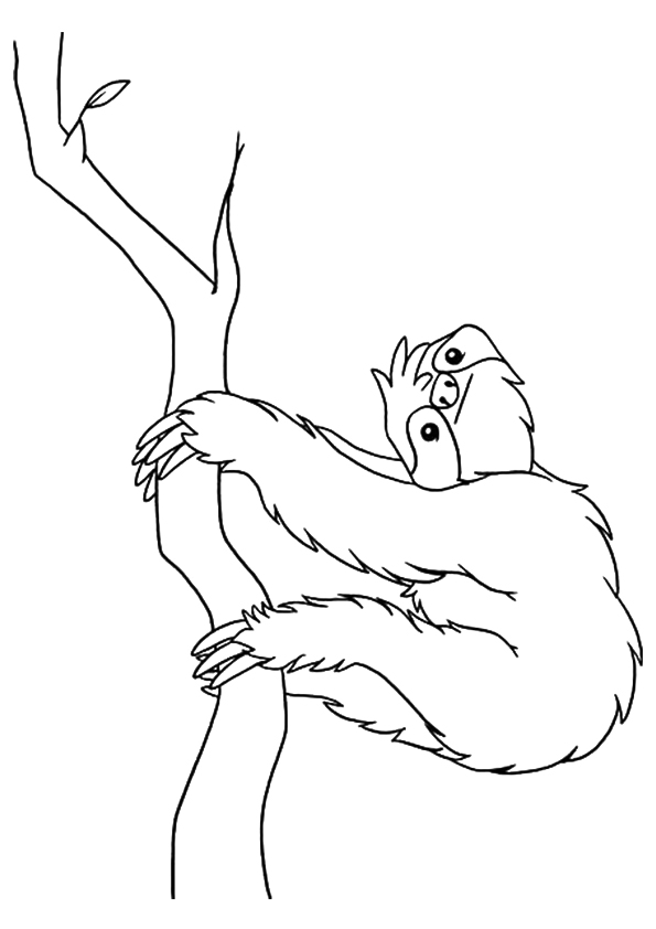 sloth-coloring-page-0020-q2