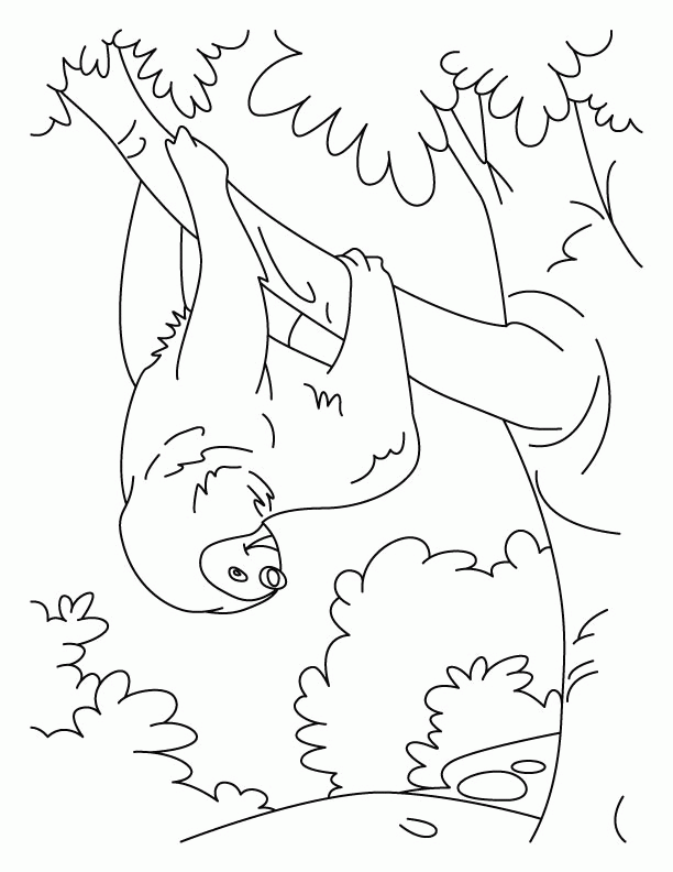 sloth-coloring-page-0026-q1
