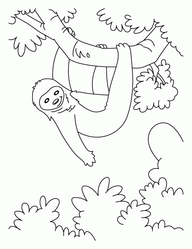 sloth-coloring-page-0029-q1