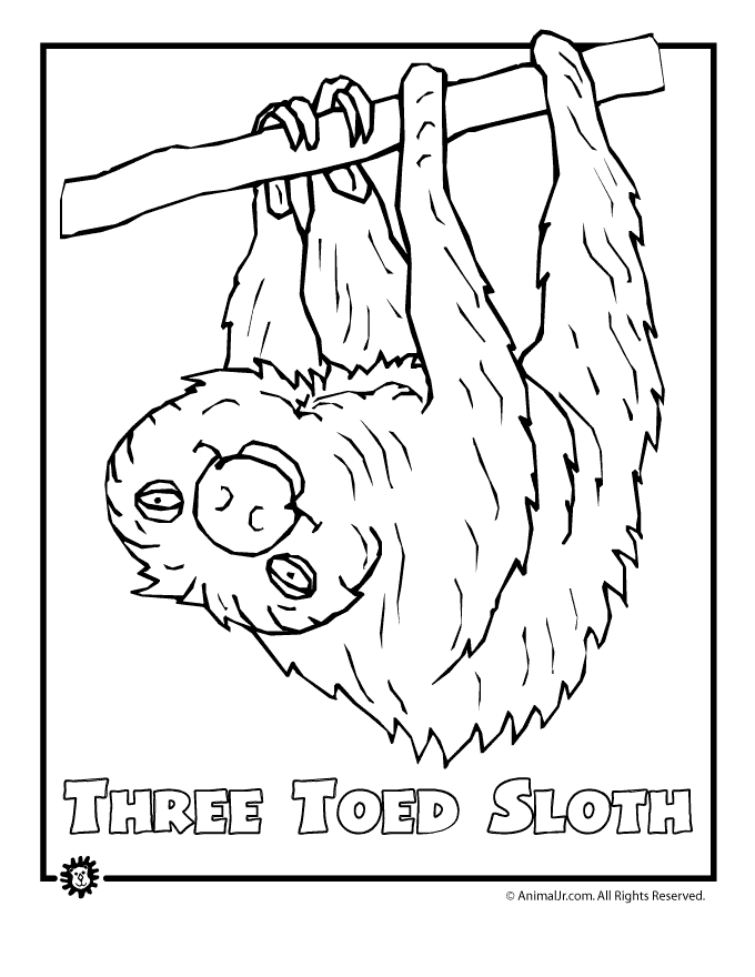 sloth-coloring-page-0032-q1