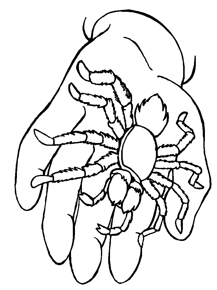 spider-coloring-page-0003-q1