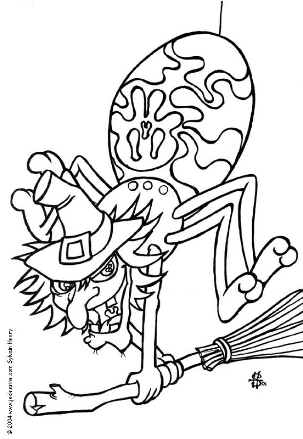 spider-coloring-page-0026-q1