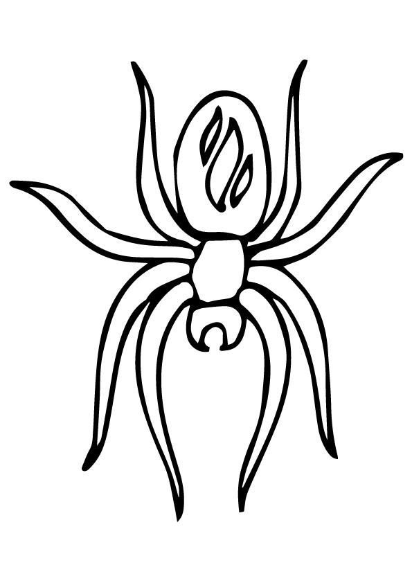 spider-coloring-page-0034-q2