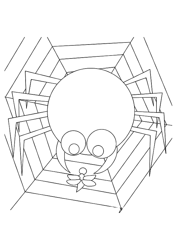 spider-coloring-page-0035-q2