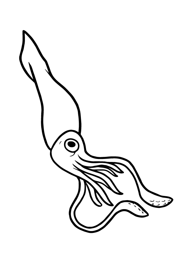 squid-coloring-page-0017-q2