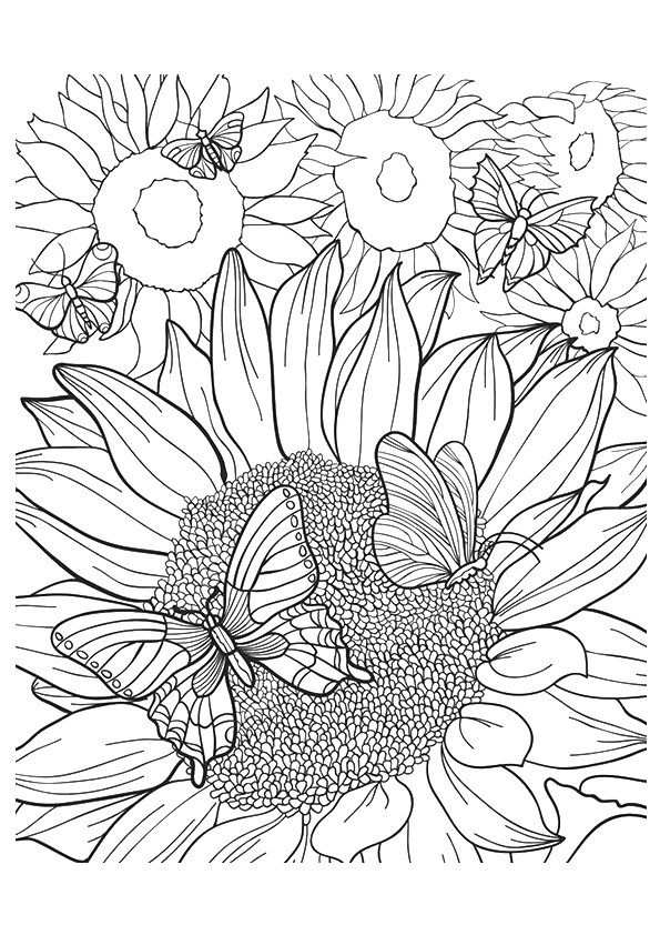 sunflower-coloring-page-0002-q2