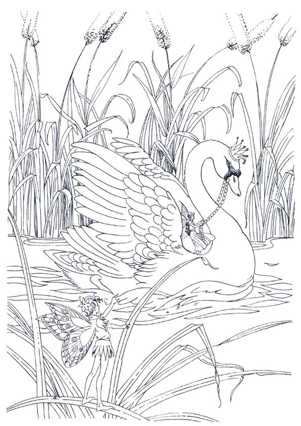 swan-coloring-page-0010-q2