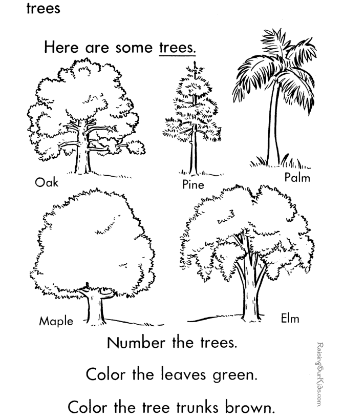 tree-coloring-page-0028-q1
